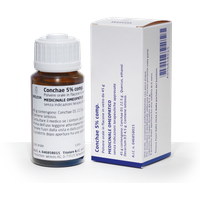 Conchae 5% Comp Os Polvere Orale Flacone 45g