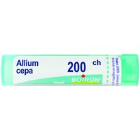 Allium cepa boi*200ch gr 4g