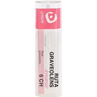 Ruta graveolens dyn 6ch gr