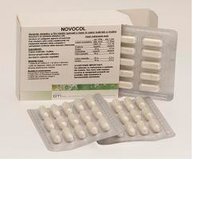 Novocol 60 Capsule 500mg Oti