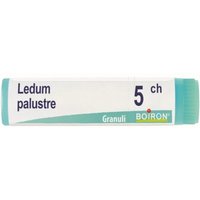 Ledum palustre boi 5ch gl 1g