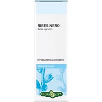 Gemmoderivato ribes n.50ml ebv