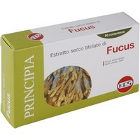 Fucus Estr Sec 60compresse