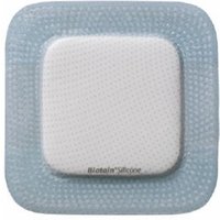 Biatain silic.sacro 15x19