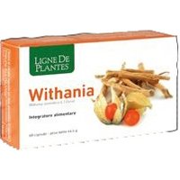 Withania 60 Capsule Nse