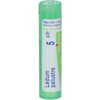 Boiron Ledum Palustre Medicinale Omeopatico 5Ch 80 Granuli