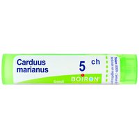 Carduus marianus 5ch gr bo
