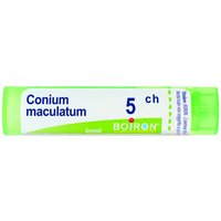 Conium maculatu 5ch gr bo