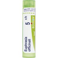 Euphrasia off 5ch gr