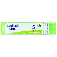 Lachesis mutus 5ch gr bo