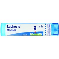 Lachesis mutus 9ch gr bo