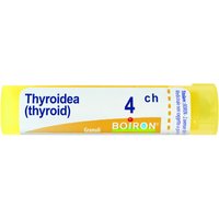 Thyroidinum 4ch gr bo