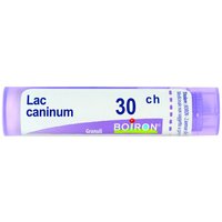 Lac caninum 30ch gr bo