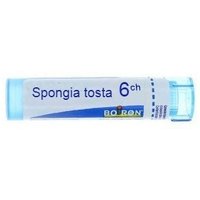 Spongia tosta 6ch gr bo