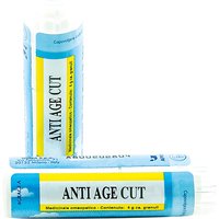 Antiage cut gr 4g