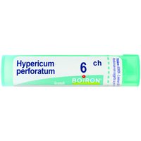 Hypericum perfor 6ch gr