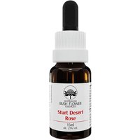 Bach center ess beech 20ml