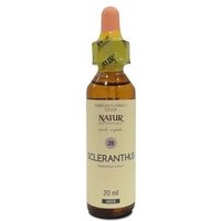 Bach center ess sclerantus20ml