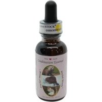 Joyful work ess 30ml