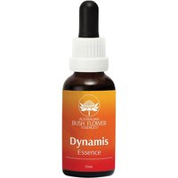 Dynamis 30 ml 1 pezzo