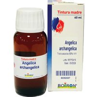 Angelica arcangelica 60ml tm
