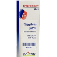 Bursa pastoris 60ml tm
