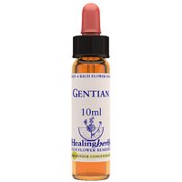 Gentian essenza 10 ml 1 pezzo