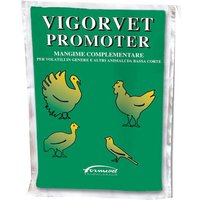 Promoter Vigorvet Busta 100 G