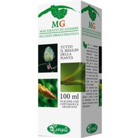 Betula verrucosa 100ml mg