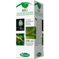 Ippocastano macerato glicerico 100 ml