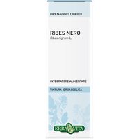 Ribes nero foglie soluzione idroalcolica 50 ml ebv