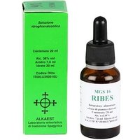 Mgs16 ribes mg spg 20ml