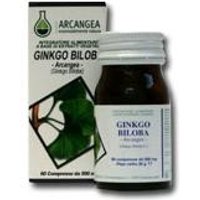 Ginkgo Biloba 60 Capsule Acn
