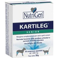 Kartileg Senior 120 Tavolette