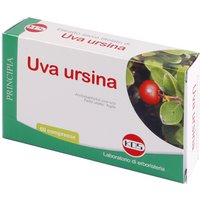 Uva ursina estratto secco 60 compresse