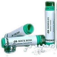 Armonic 15 holly 70gr