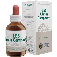 Les ulmus campestris gocce 50 ml