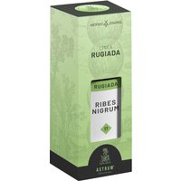Ribes nero astrum rugiada 50 ml