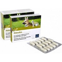 Artosalus 30 Compresse