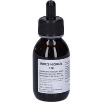 Ribes nigrum t.m.100ml oti