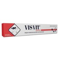 Visvit Pasta 15 Gr