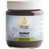 Vigormap pasta 600g