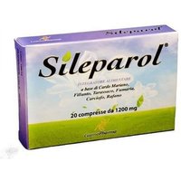 Sileparol 20 Compresse 1200mg