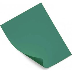 Favini Cartoncino Prisma 220 50X70 Cm - Verde Pino - A336012 (Conf.20) Favini Cartoncino Prisma 220 50X70 Cm - Verde Pino - A336012 (Conf.20)