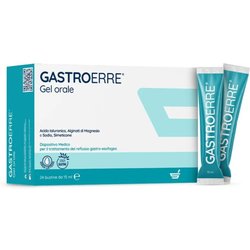 GASTROERRE 24 Bust.15ml GASTROERRE 24 Bust.15ml