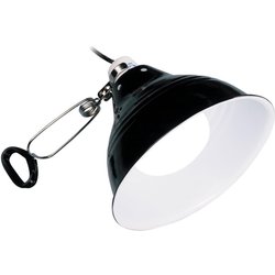 Porcellana Ex Glow Light Porcellana Ex Glow Light