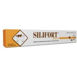 Silifort Pasta Os Siringa 15 Gr