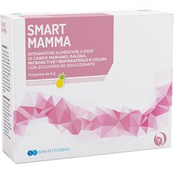 Smart Mamma Integratore Alimentare Gusto Ananas 14 Bustine