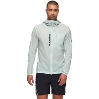 Mammut Men's Aenergy Wb Hooded Jacket Silver Sage
