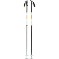 Black Diamond Traverse Pro Ski Poles Foam Green